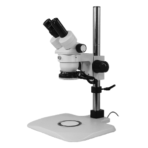 Stereo Microscope